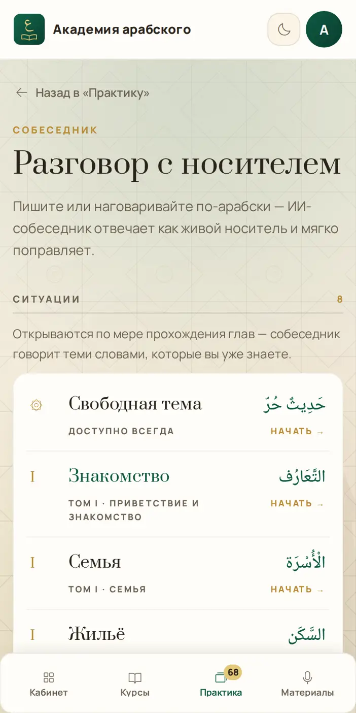 Ситуации разговора с носителем